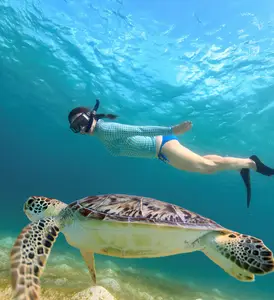 Snorkel con tortugas en Hawái (coreano) 🐢