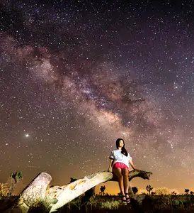 约书亚树全景 🌵 无景点和日落-星空-一生摄影一日游