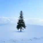 札幌
