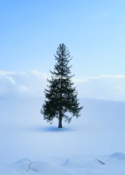 Sapporo