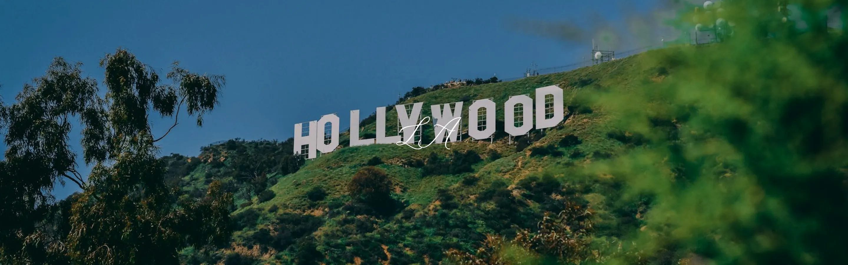 https://tammice.s3.amazonaws.com/prod/city/banners/10/01995943c7077c99acc5afc2bd484f26/LA_1.jpg