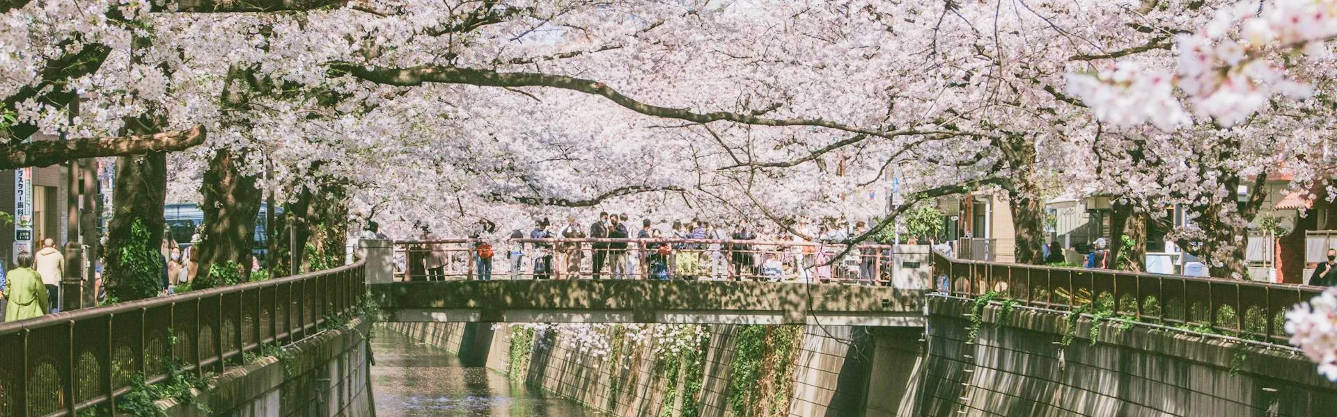 https://tammice.s3.amazonaws.com/prod/city/banners/36/019e03bc19c9729086bb046e9c94f63e/Tokyo_4.jpg