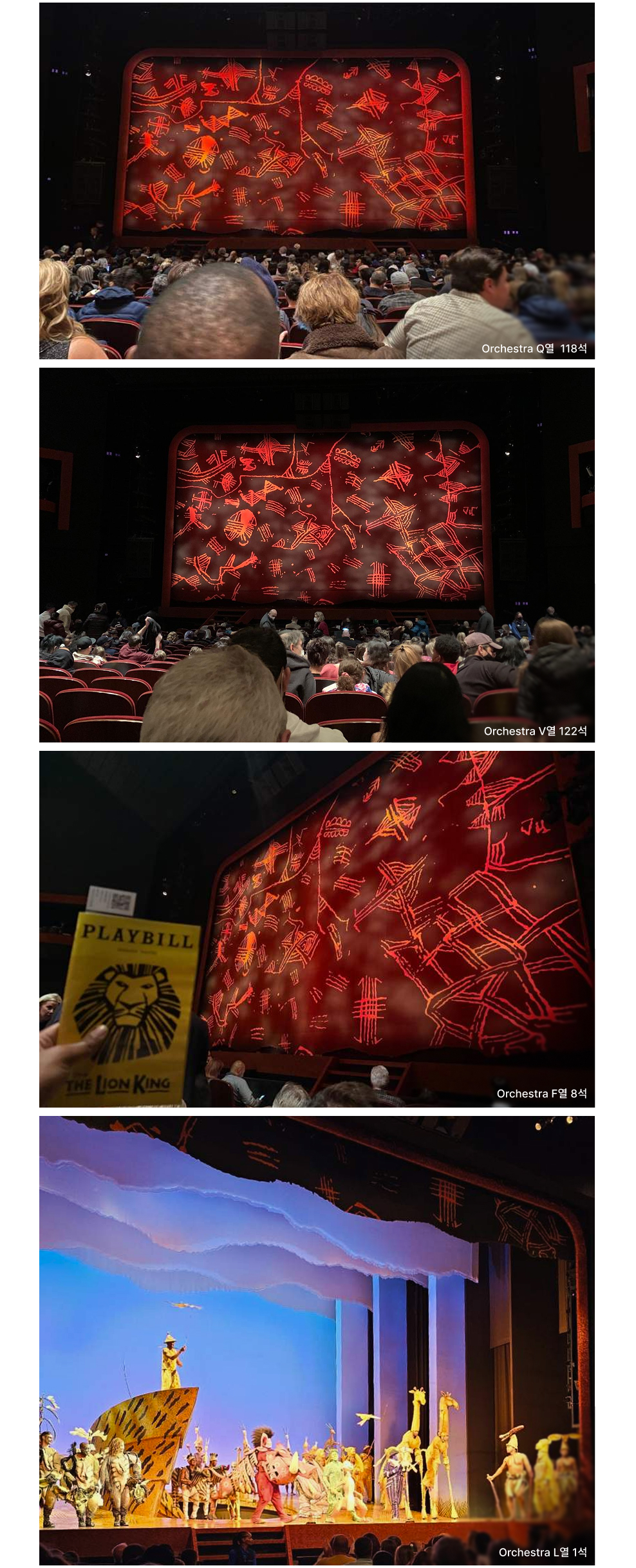 THE LION KING_Seating Charts_26'_BIGPAS-1.jpg