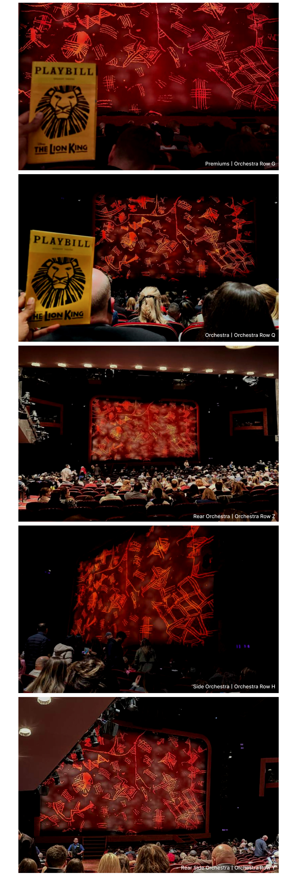 THE LION KING_Seating Charts_26'_ORCH.jpg