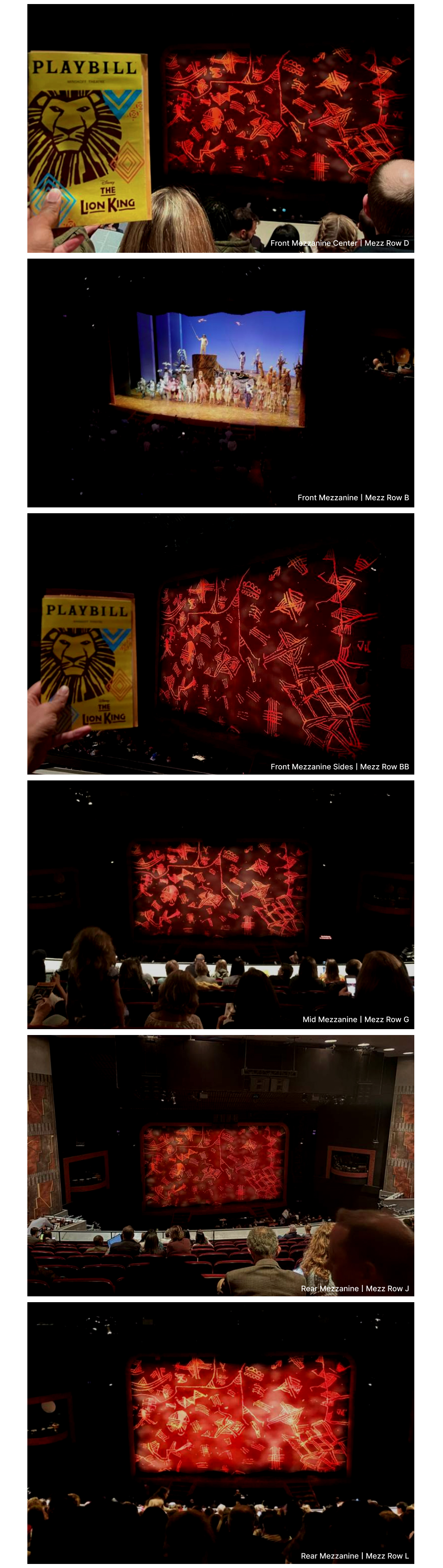 THE LION KING_Seating Charts_26'_MEZZ.jpg