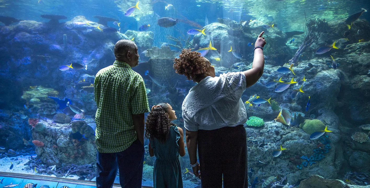 Acuario del Pacífico de Los Ángeles