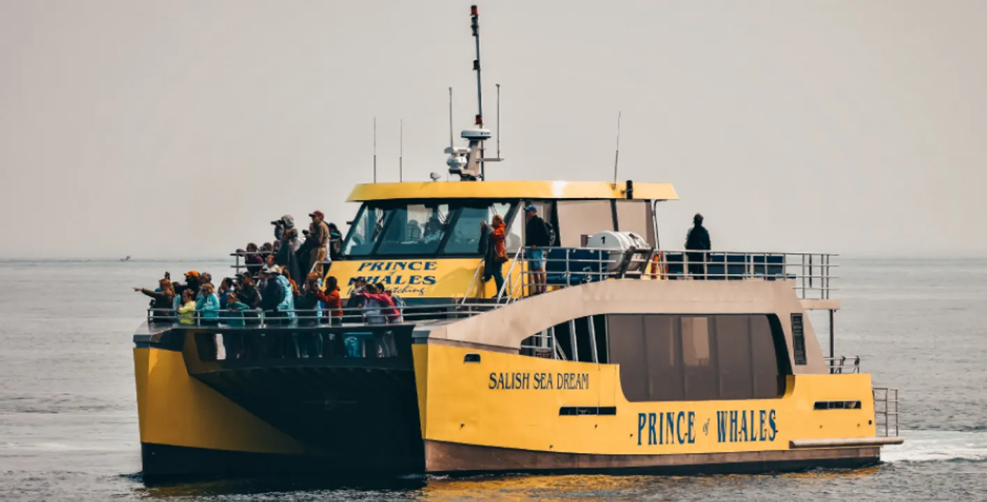 温哥华日落观鲸游轮🐳 Vancouver Day/Sunset Whale Watching Cruise🐳