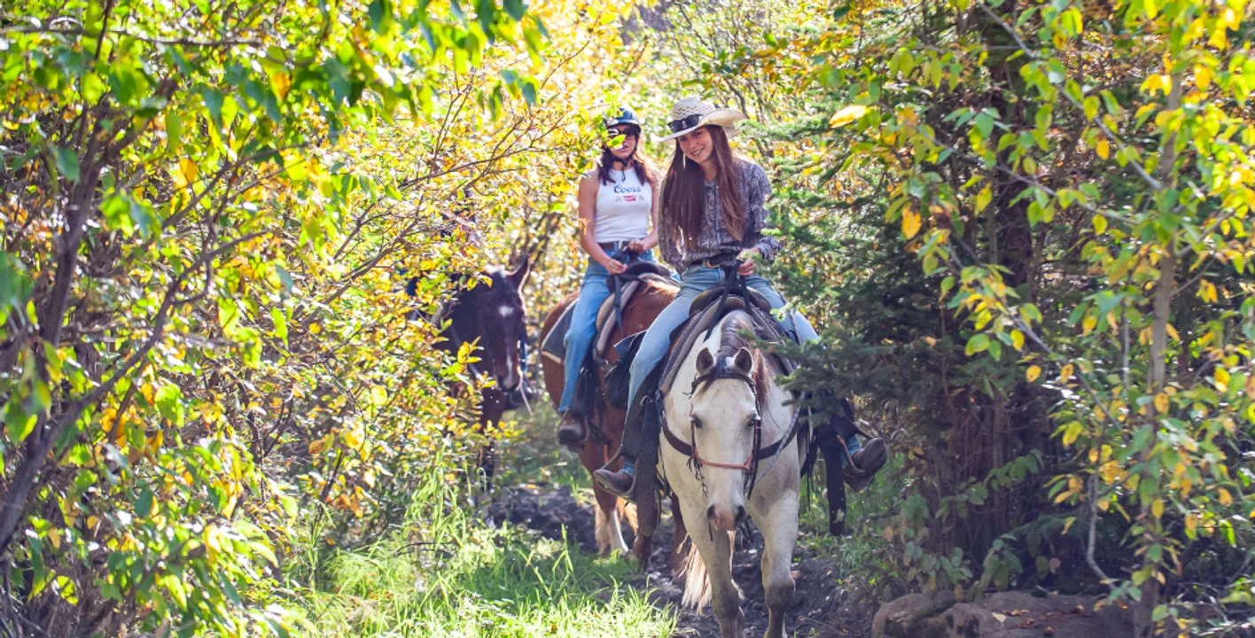 Excursión a caballo de 1 hora por el río Bow de Banff