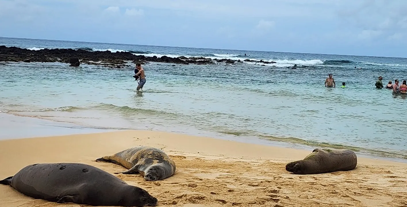 Kauai, Hawaii Excursiones de un día ✈️ Gran Cañón del Pacífico 🏔️ Waimea