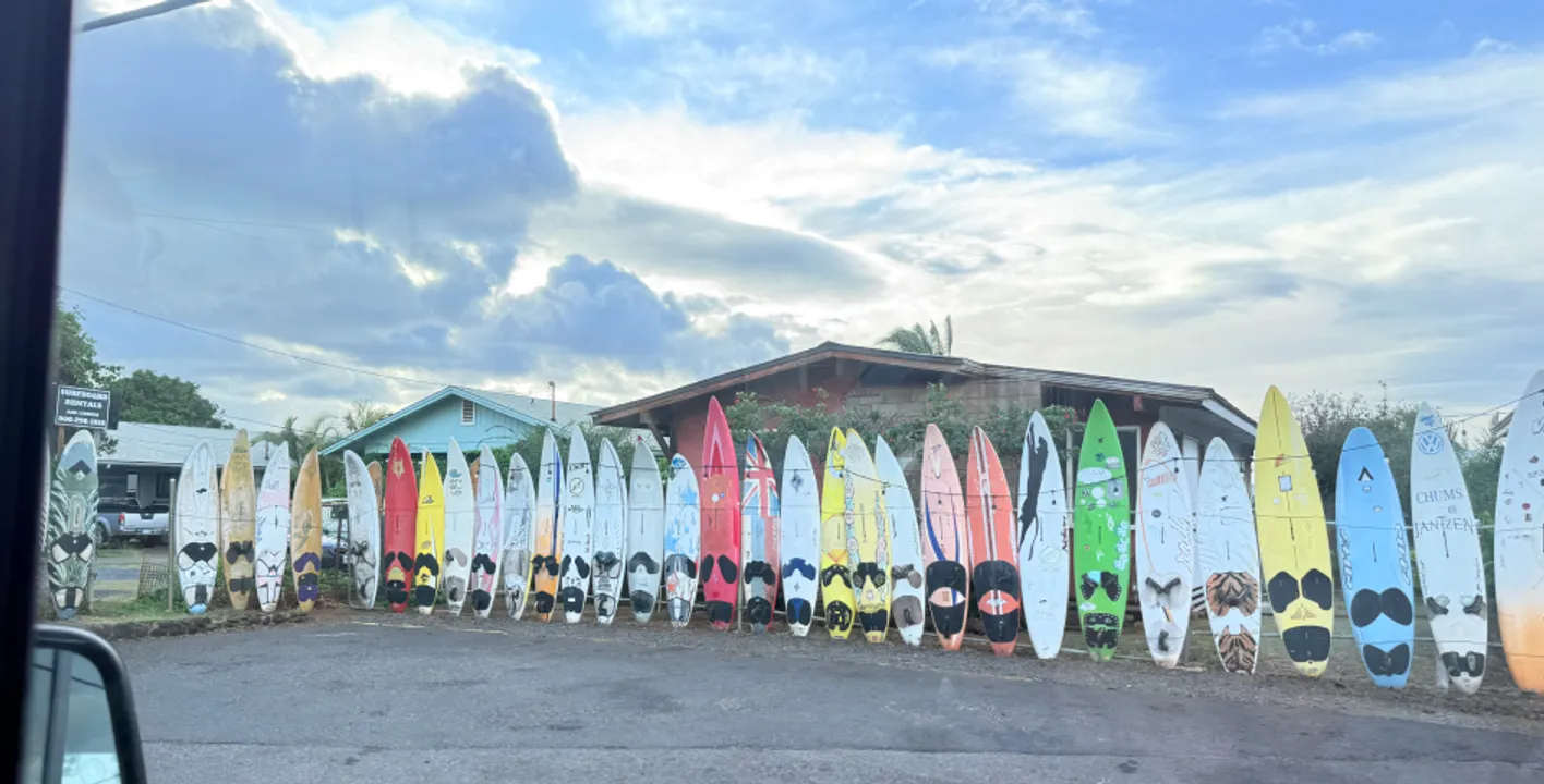 Day Trip to Maui, Hawaii ✈️ Haleakala Drive 🏄 Sea of Turtles and Surfers