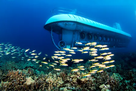 Atlantis Submarine Tour in Hawaii