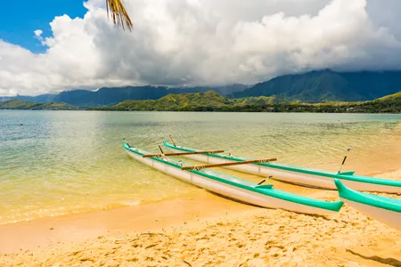 Excursión de medio día a la isla secreta de Kualoa Ranch en Hawaii