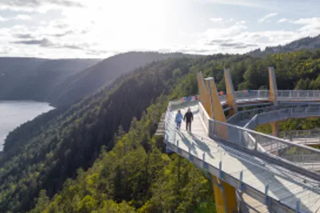 Victoria Malahat Skywalk