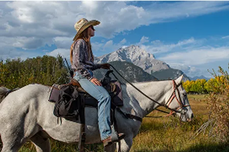 Excursión de 3 horas a caballo por el Bow Valley Loop de Banff