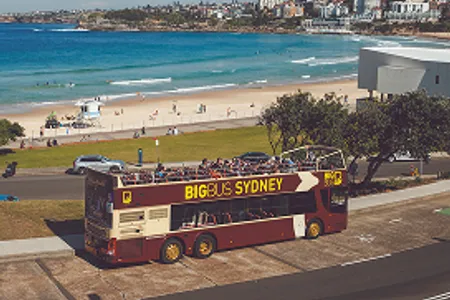 Autobús de dos pisos «Sydney Big Bus» 24 horas «Discover» (incluye la ruta de Bondi Beach)