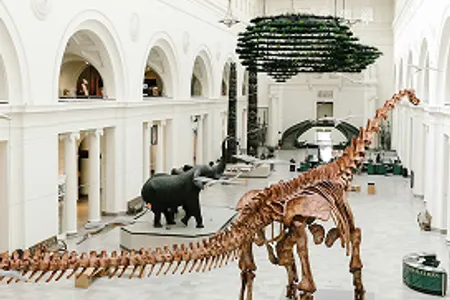  Field Museum of Natural History in Chicago  