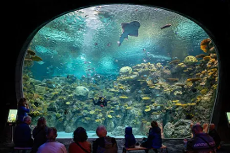 西雅图水族馆