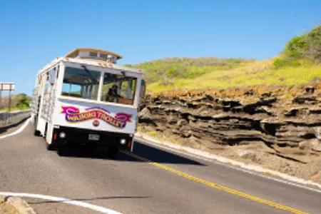 ハワイ・ワイキキ・トロリー 乗り降り自由1日券 | 単一路線の選択