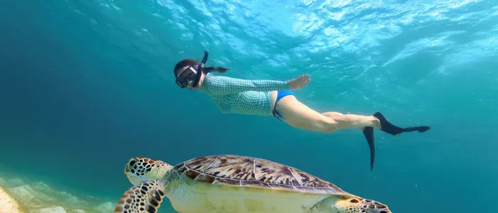 Snorkel con tortugas en Hawái (coreano) 🐢