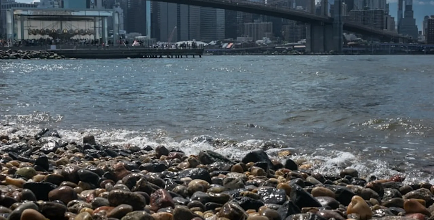 Paseo por el Puente de Brooklyn