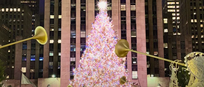 纽约半价套票 6 天 7 晚🎅（2026 年圣诞季🎄）