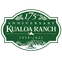 branch-4.png