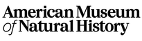 branch-58.png